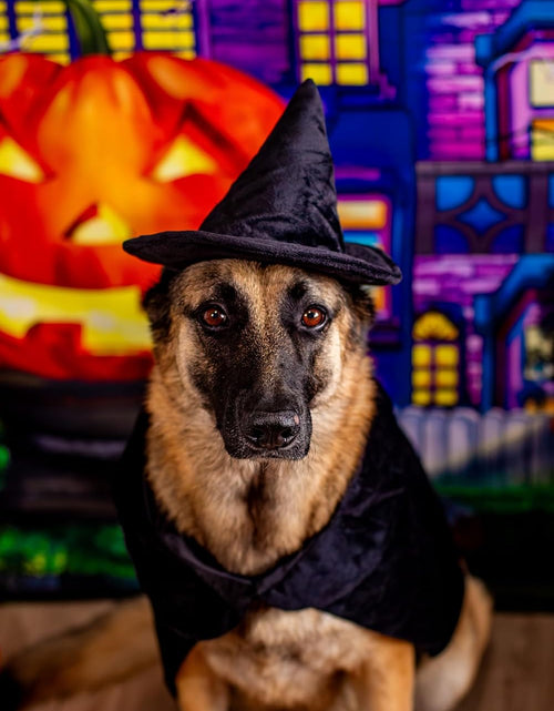 Load image into Gallery viewer, Halloween Witch Cape and Hat Dog Costume (Medium)
