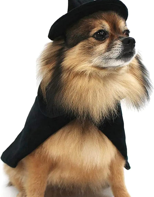 Load image into Gallery viewer, Halloween Witch Cape and Hat Dog Costume (Medium)
