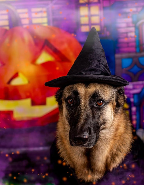 Load image into Gallery viewer, Halloween Witch Cape and Hat Dog Costume (Medium)
