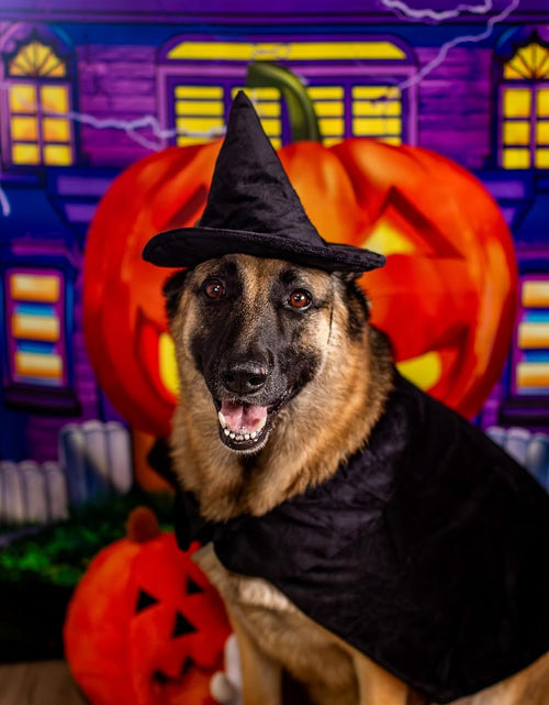 Load image into Gallery viewer, Halloween Witch Cape and Hat Dog Costume (Medium)
