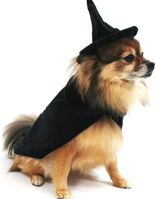 Load image into Gallery viewer, Halloween Witch Cape and Hat Dog Costume (Medium)
